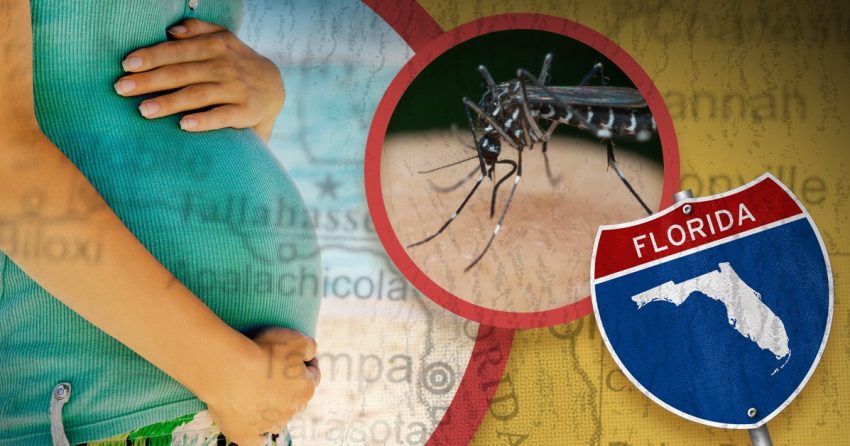 Zika-Florida-inforgraphic-1200x628